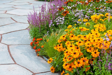 Layered Fall Gardens: How to Mix Annuals + Perennials for Extended Bloom