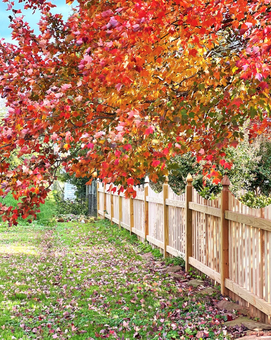 Warm Autumn Gardens: How to Add Cozy Color and Texture to Your Outdoor Space