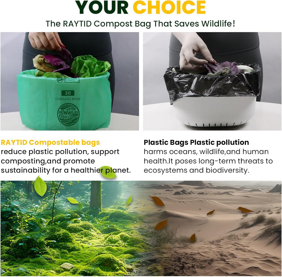 Container Water Gardens: Mini Ponds for Patios and Balconies