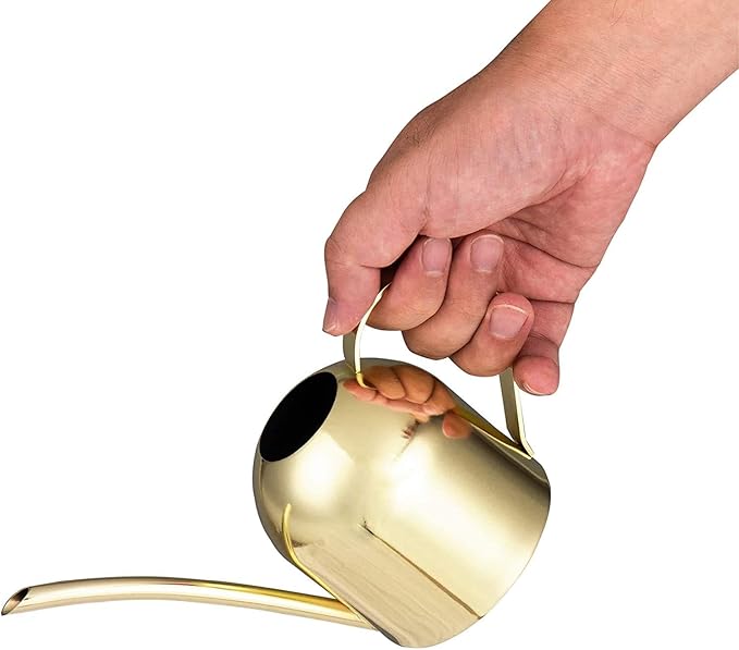 IMEEA Gold Watering Can for Indoor Plants, Orchid, Bonsai - Stainless Steel With Long Spout for House, Desk, Office - 15oz/450ml