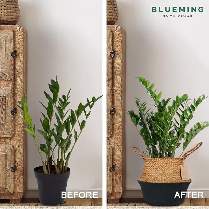 Plant Basket β Small Seagrass Planter Pot for Olive Trees, Woven Wicker Planter 8-9 Inches for Indoor Tall Artificial Plants (Black Bottom, Medium)