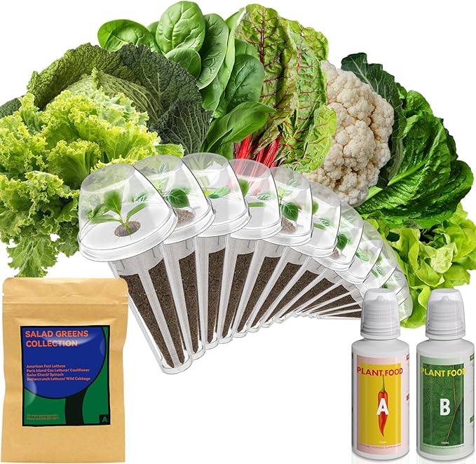inbloom Salad Green Seed Pod Kit for AeroGarden, Ahopegarden, GARDENCUBE, MUFGA, 12 Pods (350+ Seeds with American Fast/Paris Island/Buttercrunch Lettuce, Swiss Chard, Spinach, Cauliflower, Cabbage)