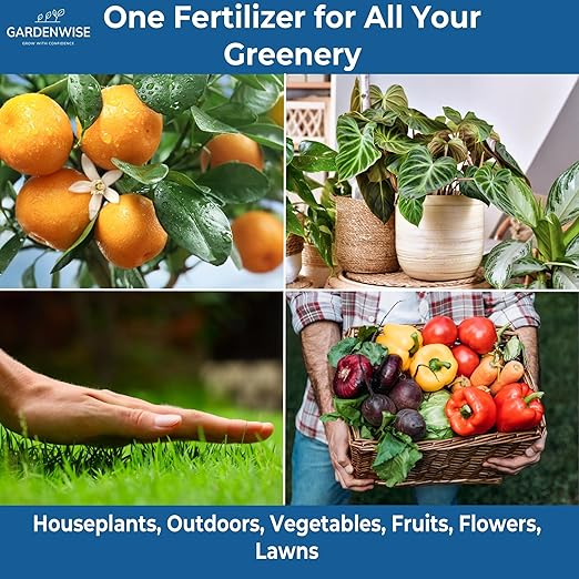 20-20-20 Water-Soluble Fertilizer β Powder for Liquid Plant Food for Indoor & Outdoor Plants, Orchids, Vegetables, Lawns, Flowers β 20 20 20 Fertilizer 1/2 Quart (1 lb)