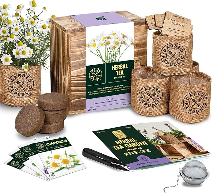 Indoor Herb Garden Seed Starter Kit - Herbal Tea Growing Kits, Grow Medicinal Herbs Indoors, Seeds for Planting, Soil, Plant Markers, Pots, Infuser, Planter Box, Gardening Gifts for Women