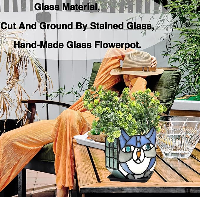 Indoor Plant Display Glass Container, Unique Pots for Plants, Glass Container Decoration,Suitable for Growing Small Plants 4.6x5.15x3 in (Excluding Plants)