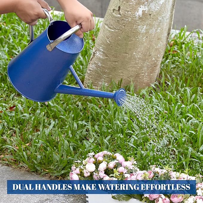 1.5 Gallon Watering Can for Outdoor Plants,Large Metal Plant Watering Pot with Removable Spout,Flower Garden Water Can Watering Pot,Galvanized Steel Watering Can with Stainless Steel Handles,Navy