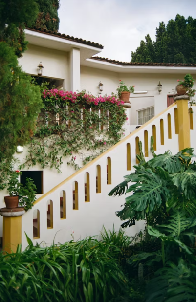 Self-Watering Planters: The Low-Stress Gardening Trend Taking Over 2025