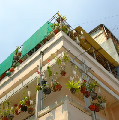 Small-Space Rain Gardens: Turning Tiny Yards Into Eco-Friendly Water Havens