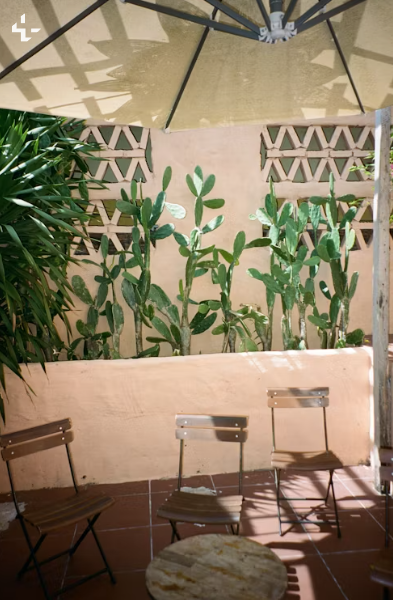 Native Shade Gardens: Cool, Calm, and Sustainable Spaces for Hotter Summers