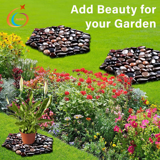 Moss Wall Art & Living Green Frames: The Indoor Garden Trend Redefining Home Décor