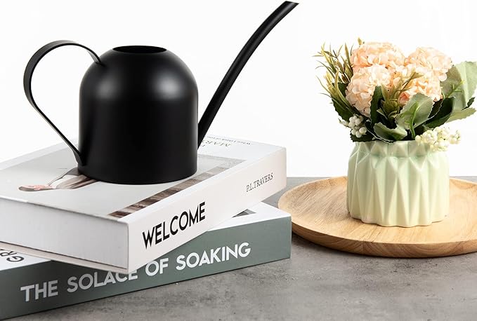IMEEA Small Watering Can for Indoor Plants Stainless Steel Watering Can with Long Spout 15oz/450ml, (Black)