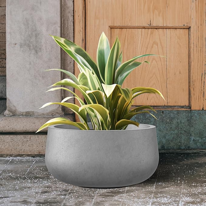 Kante 15.7" Dia Round Concrete Planter, Outdoor Indoor Garden Plant Pots with Drainage Hole and Rubber Plug, Modern Curvaceous Design, Natural Concrete